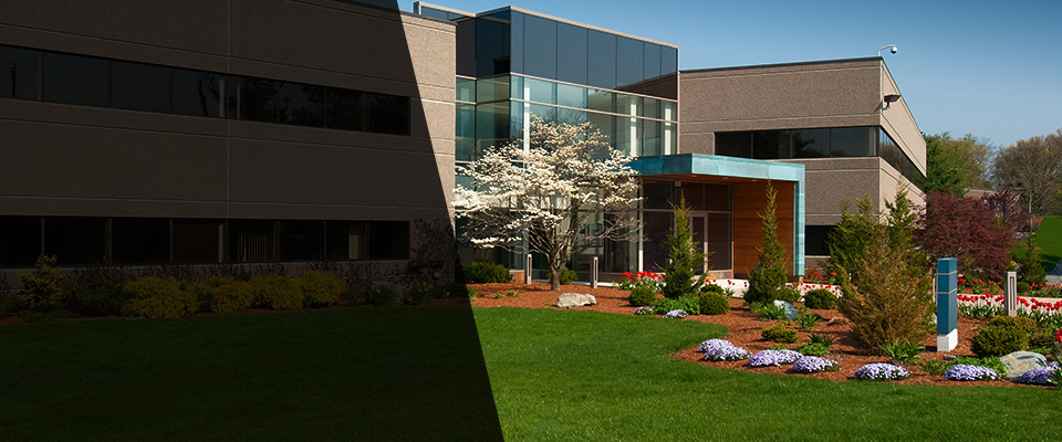 Apple Valley Landscapers