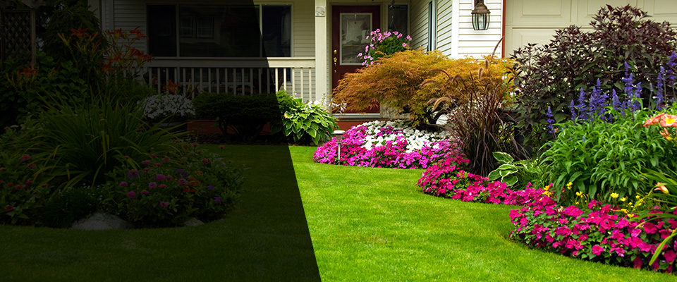 Apple Valley Landscapers