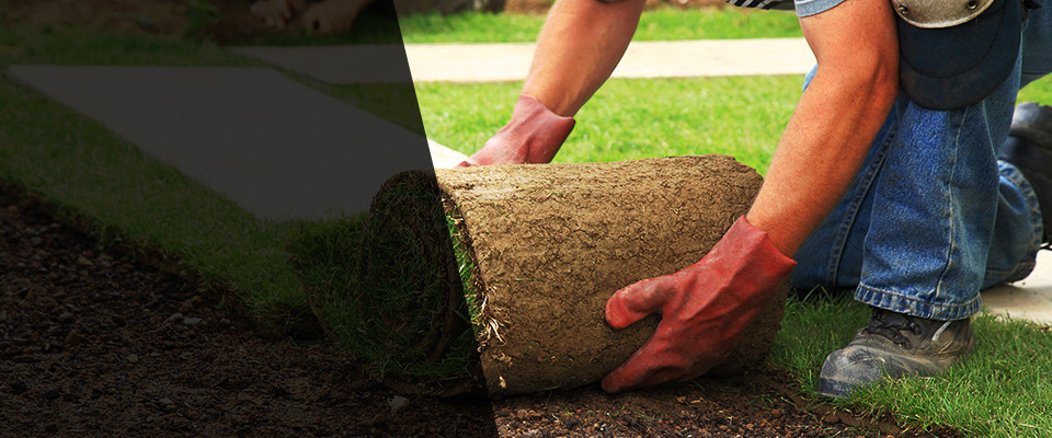 Apple Valley Landscapers